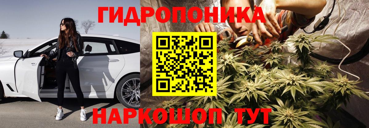 Конопля MAZAR  Вход с VPN  Серов  Бошки марихуана план 